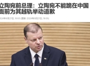 杏彩官网-包含立陶宛对立陶宛：决定出线的关键战役的词条