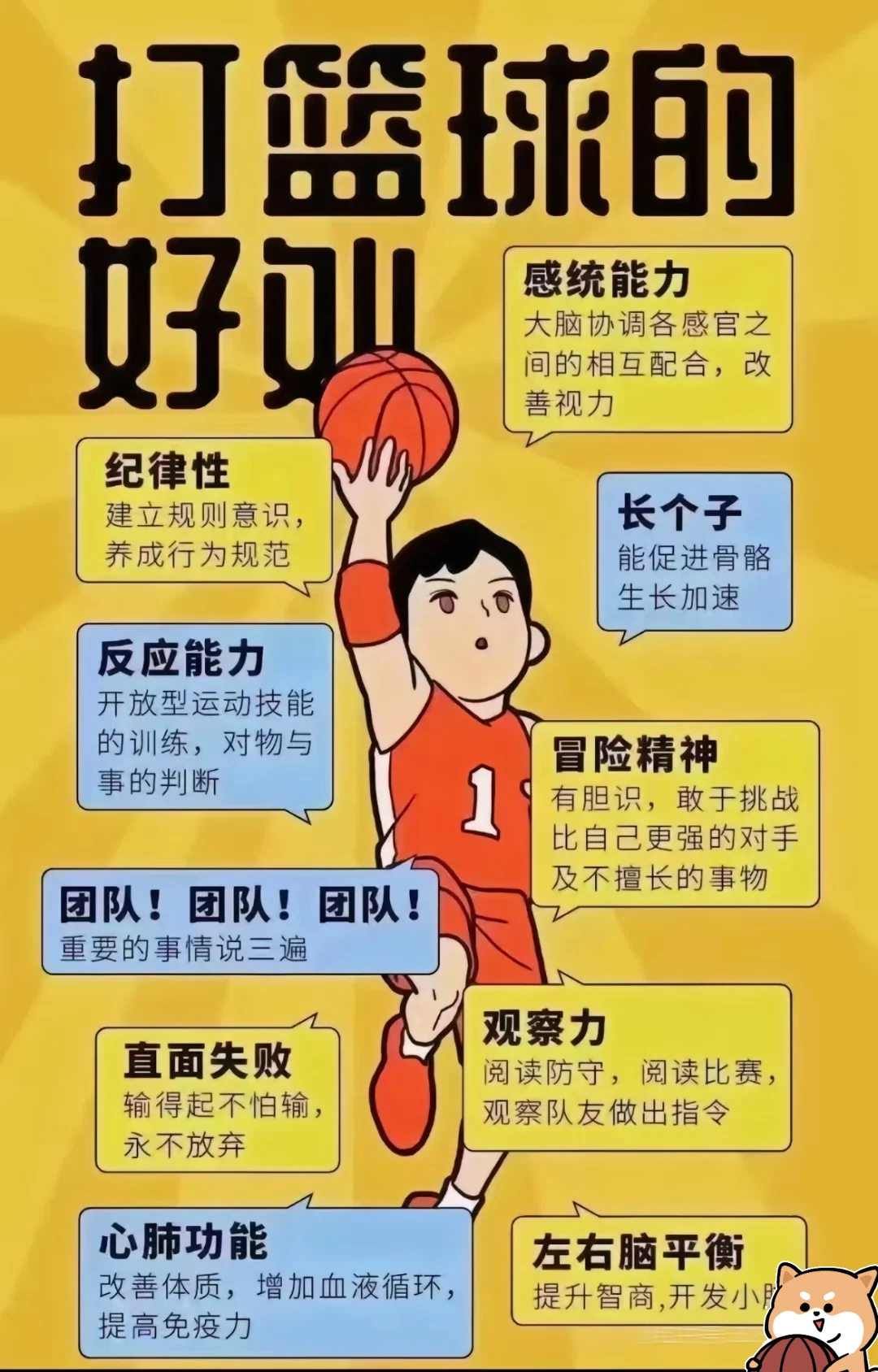 关于家族传承篮球技巧，继承球神传统的信息